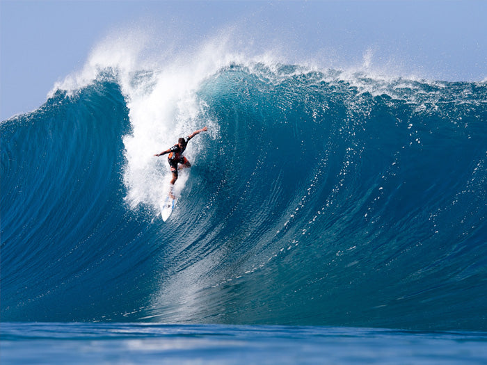 Koa drop in