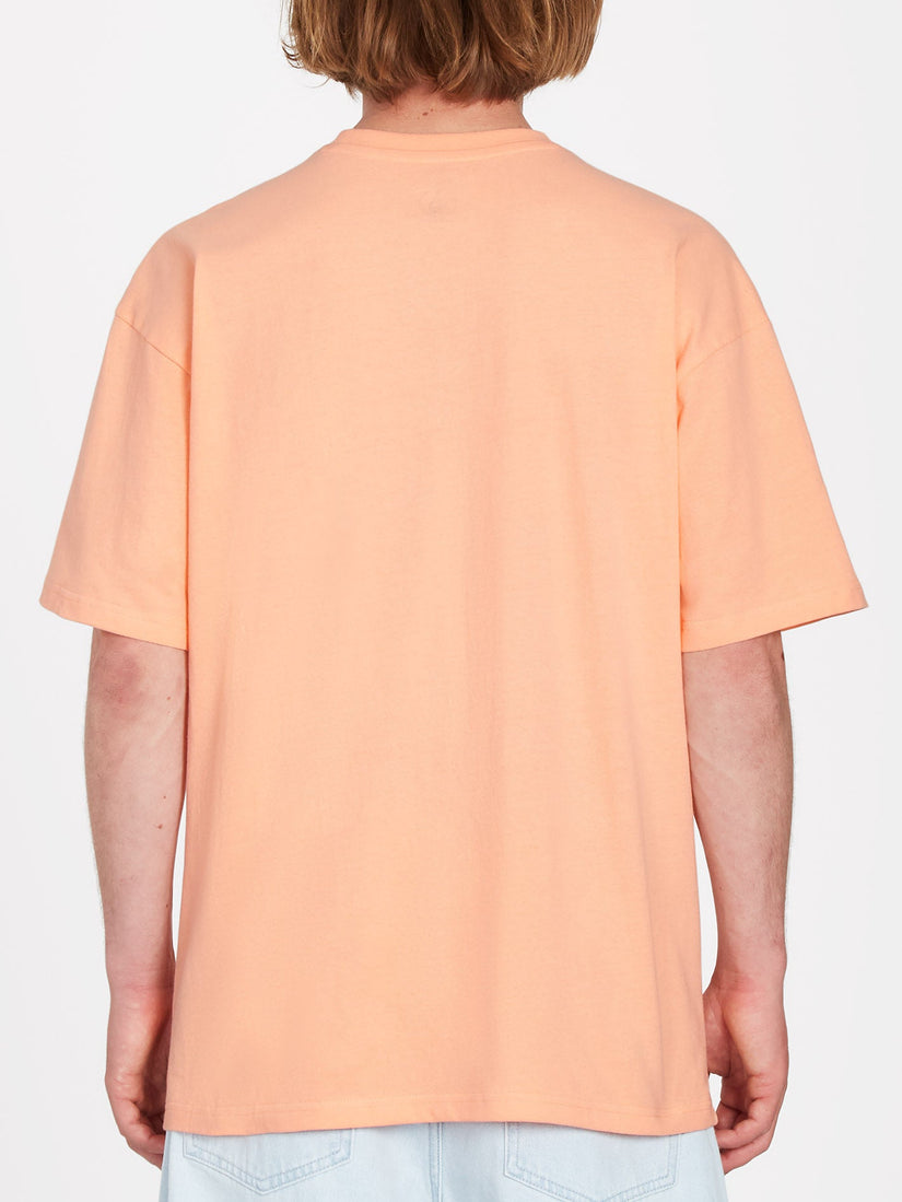 Circletrip T-shirt - PEACH BUD (A4312303_PCB) [B]