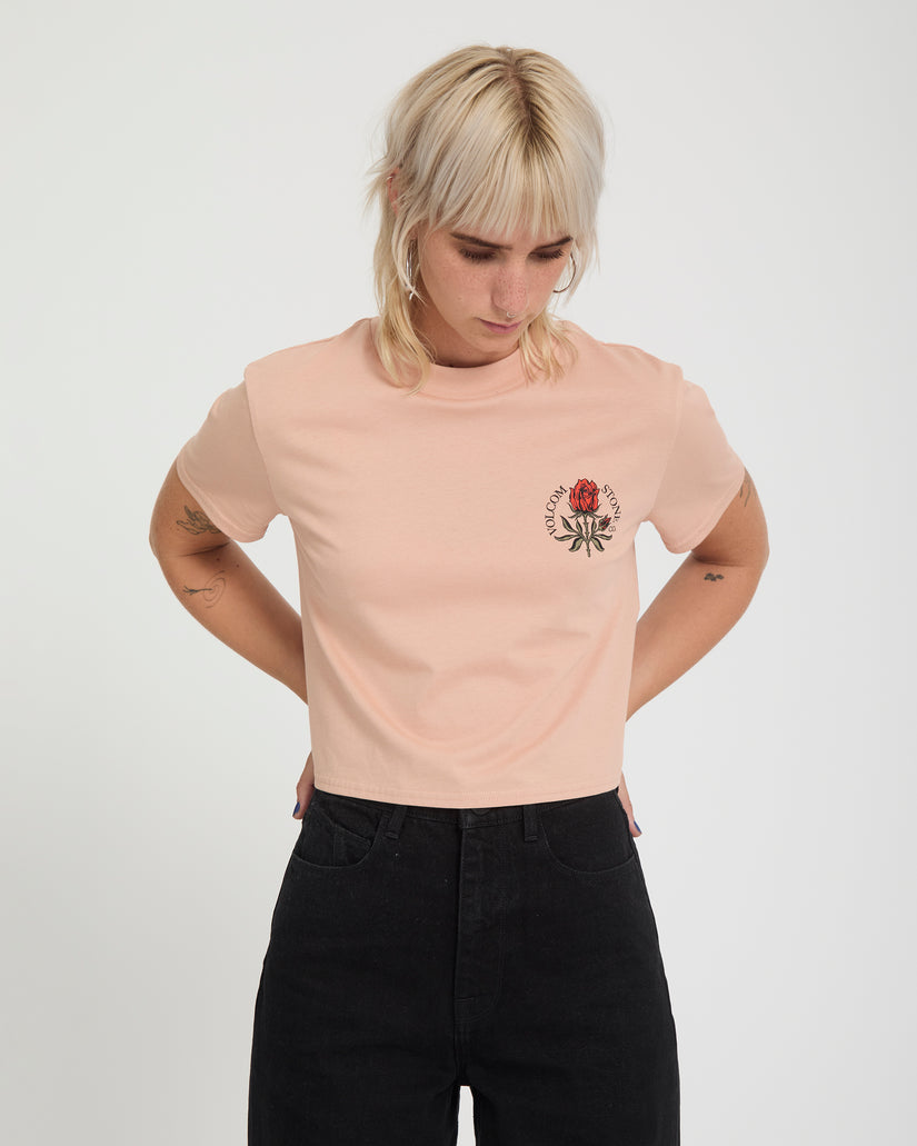 T-shirt Dial Crop - Misty Rose