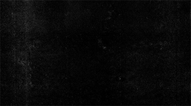 fallback text for an image