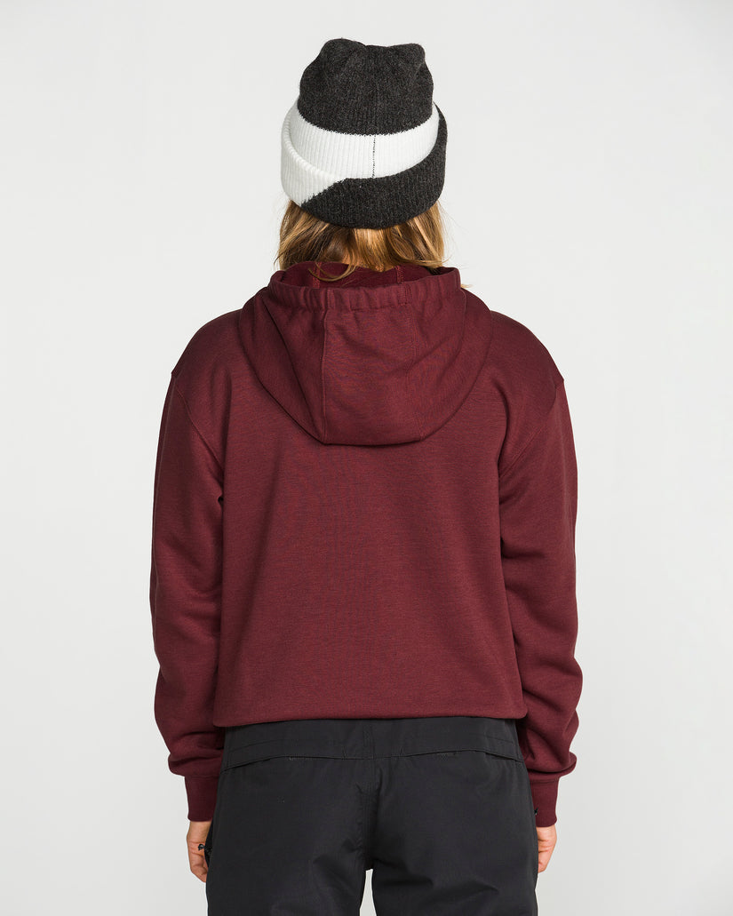 Sweat à capuche Alpine All Day - Pinot