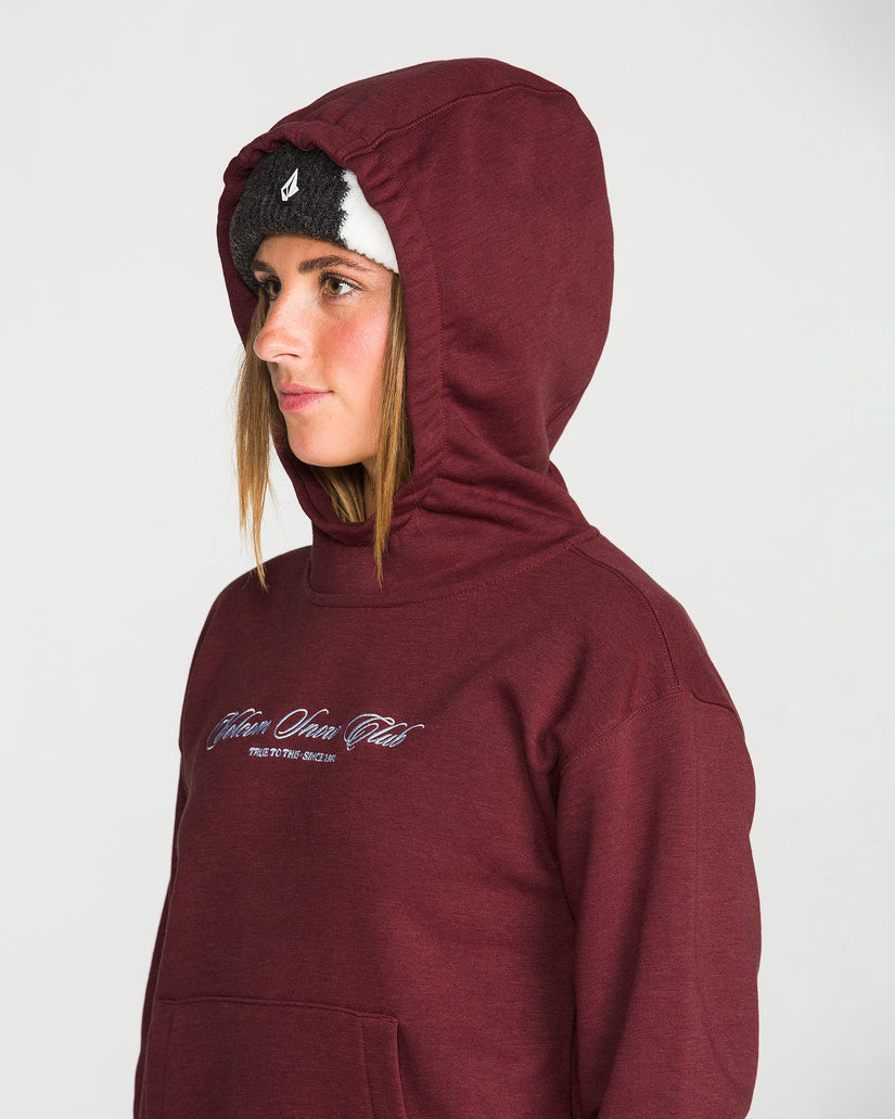 Sweat à capuche Alpine All Day - Pinot