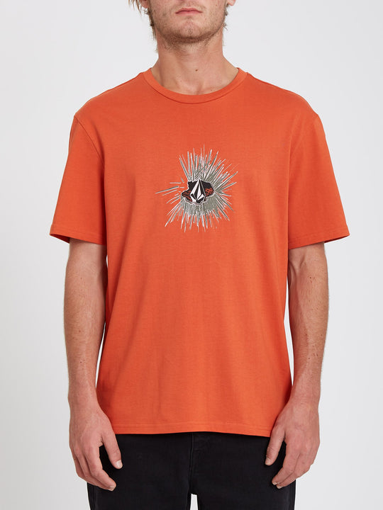 Gony T-shirt - BURNT OCHRE (A3532115_BUO) [F]